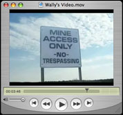 wally's video